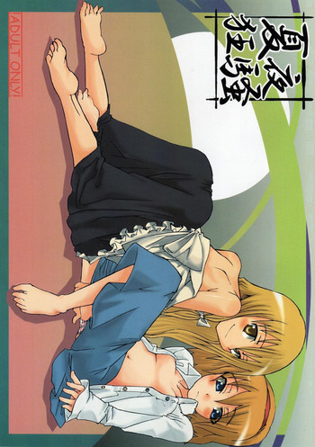 夏夜狂騒の表紙画像