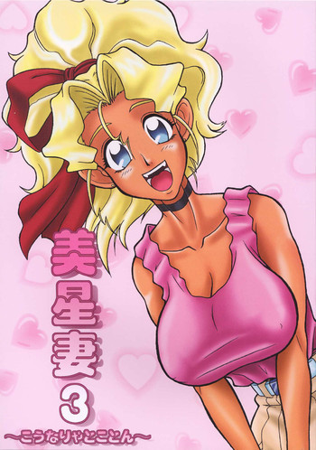 美星妻3 ～こうなりゃとことん～の表紙画像