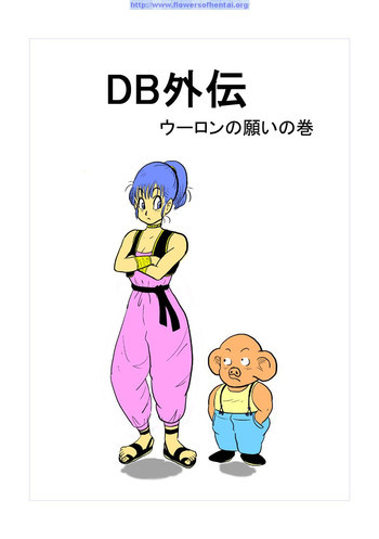 DB外伝 ウーロンの願いの巻の表紙画像