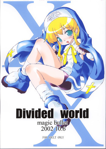 Divided worldの表紙画像
