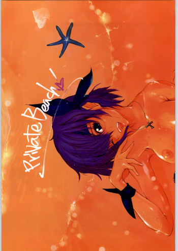 PrivateBeach!の表紙画像
