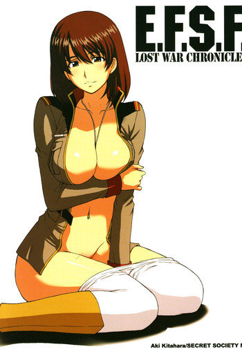 E.F.S.F. Lost War Chroniclesの表紙画像