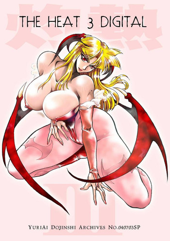 THE HEAT 3 DIGITALの表紙画像