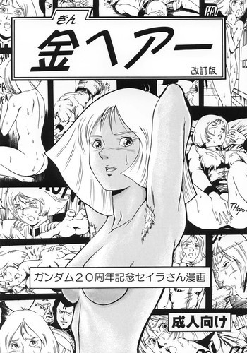 金ヘアー 改訂版の表紙画像