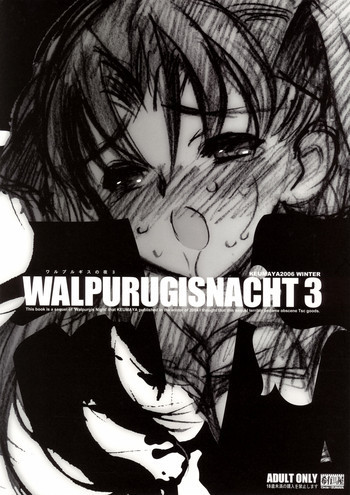 ワルプルギルスの夜3の表紙画像