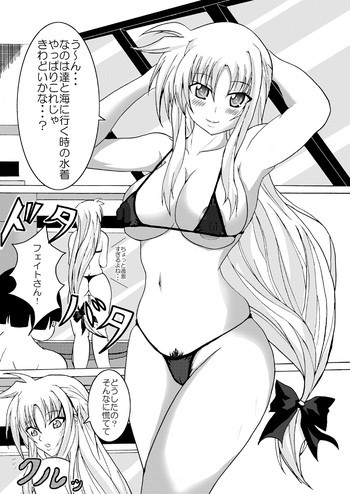 ちょっとビッチなフェイトママの表紙画像