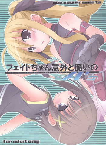 フェイトちゃん以外と脆いのA'sの表紙画像