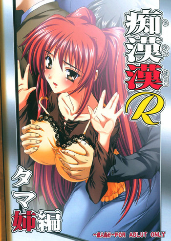 痴漢漢R タマ姉編の表紙画像