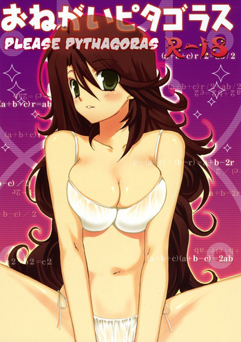 おねがいピタゴラスの表紙画像