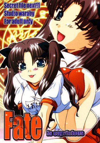 SECRET FILE NEXT 11の表紙画像