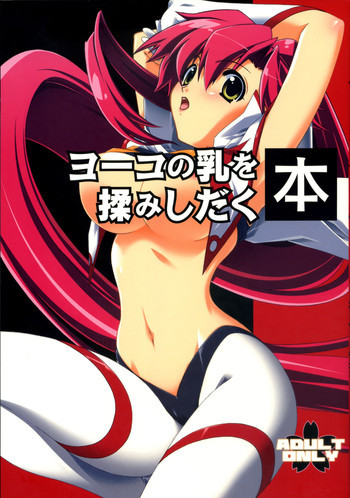 ヨーコの乳を揉みしだく本の表紙画像