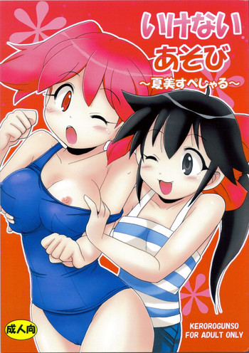 いけないあそび ～夏美すぺしゃる～の表紙画像