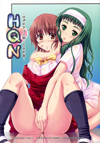 HQN～はずむきゅん独り占め計画～の表紙画像