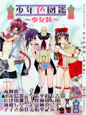 少年色図鑑 ～少女装～の表紙画像