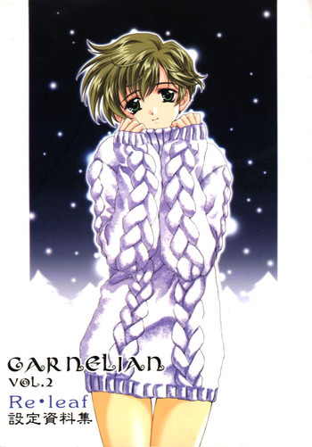 CARNELIAN vol.2 - Re·Leaf 設定資料集の表紙画像