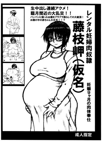 レンタル妊婦肉奴隷 藤枝岬の表紙画像