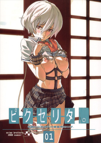 ピクセリタ 01の表紙画像