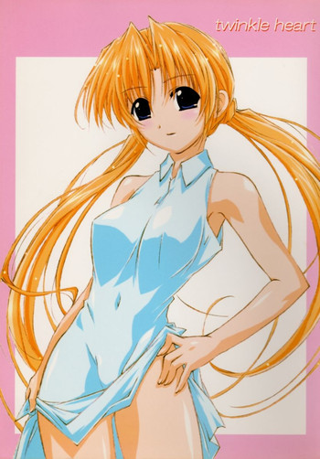 twinkle heartの表紙画像