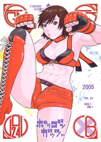 FIGHTERS GIGAMIX FGM Vol.24の表紙画像