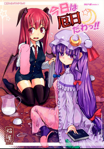今日は厄日だわっ!!の表紙画像