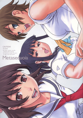 Metasequoiaの表紙画像