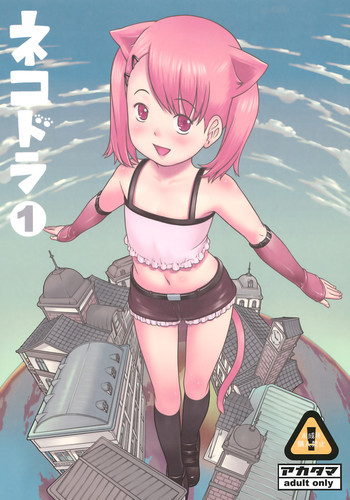 ネコドラ1巻の表紙画像