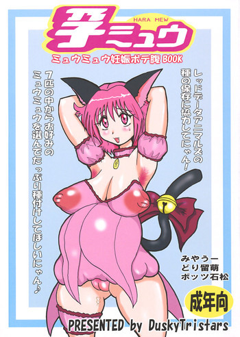 孕ミュウの表紙画像