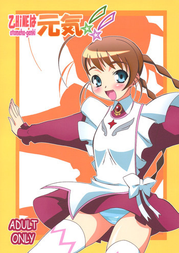 乙HiMEは元気!!の表紙画像