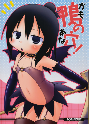 鴨の穴!の表紙画像
