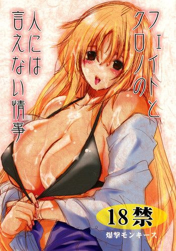 フェイトとクロノの人には言えない情事の表紙画像