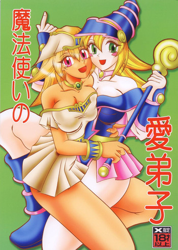 魔法使いの愛弟子の表紙画像