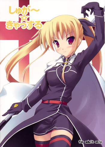 しゅが～☆きゃっするの表紙画像