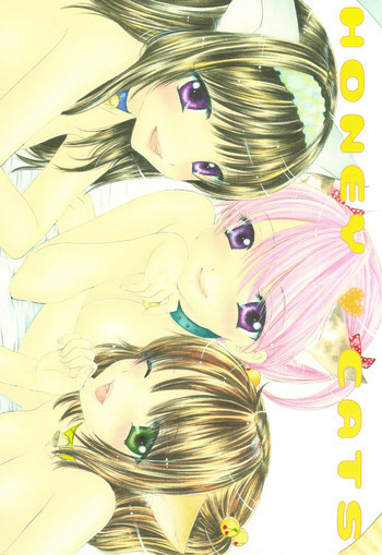 HONEY CATSの表紙画像
