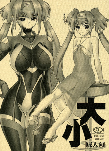 大小の表紙画像