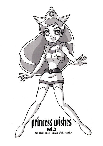 princess wishes vol.2の表紙画像