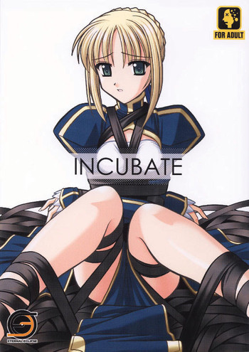 INCUBATEの表紙画像