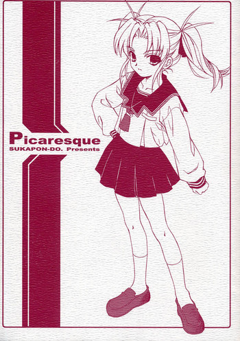 Picaresqueの表紙画像