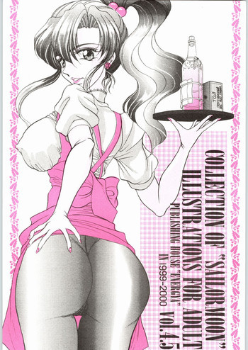COLLECTION OF -SAILORMOON- ILLUSTRATIONS FOR ADULT Vol.4.5の表紙画像