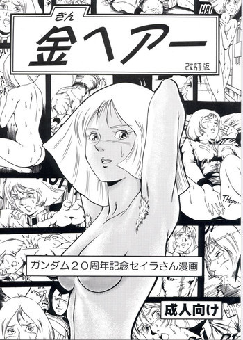 金ヘアー 改訂版の表紙画像