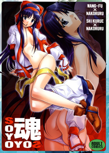 SOYOSOYO魂の表紙画像