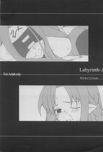 Labyrinth-βの表紙画像