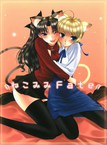 ねこみみFateの表紙画像