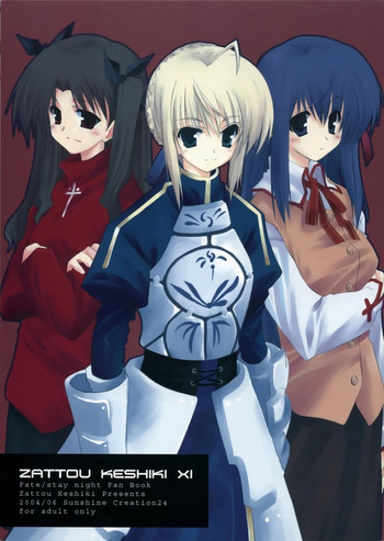 ZATTOU KESHIKI XIの表紙画像