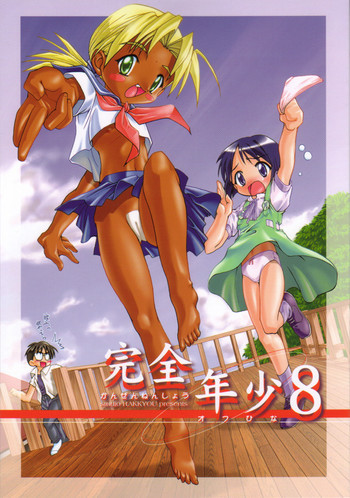 完全年少8の表紙画像