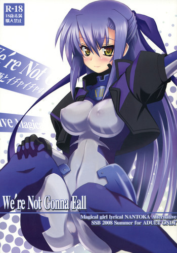 We're Not Gonna Fallの表紙画像