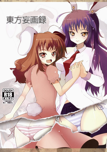 東方妄画録の表紙画像