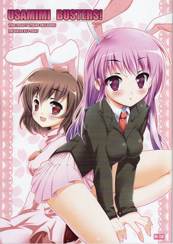 USAMIMI BUSTERS!の表紙画像
