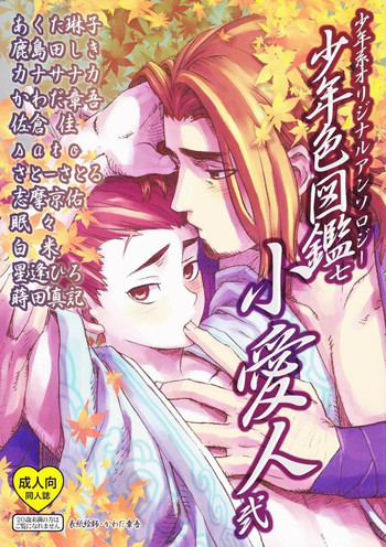 少年色図鑑 7 ～小愛人 2～の表紙画像