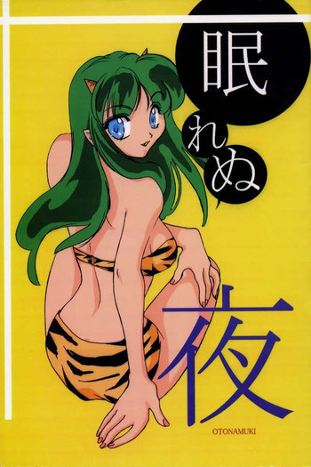 眠れぬ夜の表紙画像