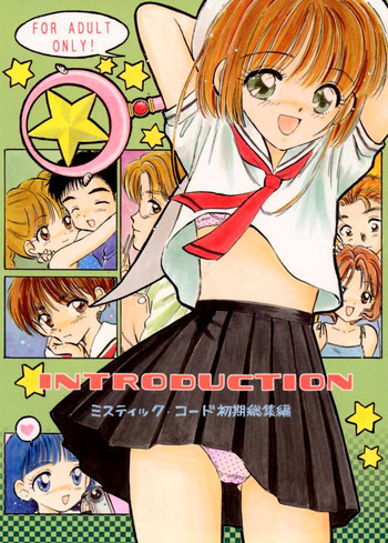 INTRODUCTIONの表紙画像
